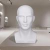 Male Mannequin Head with Shoulders Realistic Life Size for Retailers,
