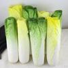 Artificial Green Cabbage Loofah PVC Vegetable Educational toy Decor Ornament