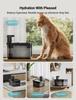 Water Fountain Cordless, Wireless Pet Water Fountains for Cats Indoor,Battery Operated Cat Drinking Fountain with Motion Sensor,