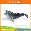 Childrens Marine Animal Pvc Model Set With Realistic Cetacean Figures For Educational Play