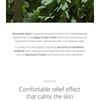 ROUND LAB - Mugwort Calming Mask