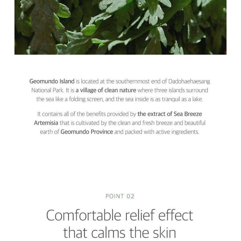 ROUND LAB - Mugwort Calming Mask