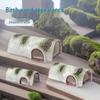 White Birch Wood Reptile Hideaway - Simulated Tree Hole for Lizards & Geckos