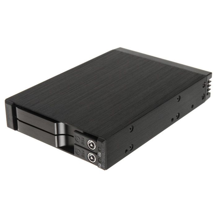 Backplane rack mobile - silverstone - sst-fs202b - aluminium - 2 baies 2.5’’ - del indépendante