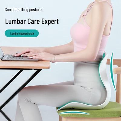 Misida Ergonomic Lumbar Support Cushion CN Plug (adapter Included)