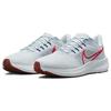 Nike Air Zoom Pegasus 39 Šedá Jasne Červená Pánske Tenisky Futbalovo Šedá Concord Tmavá Repová DH4071-007
