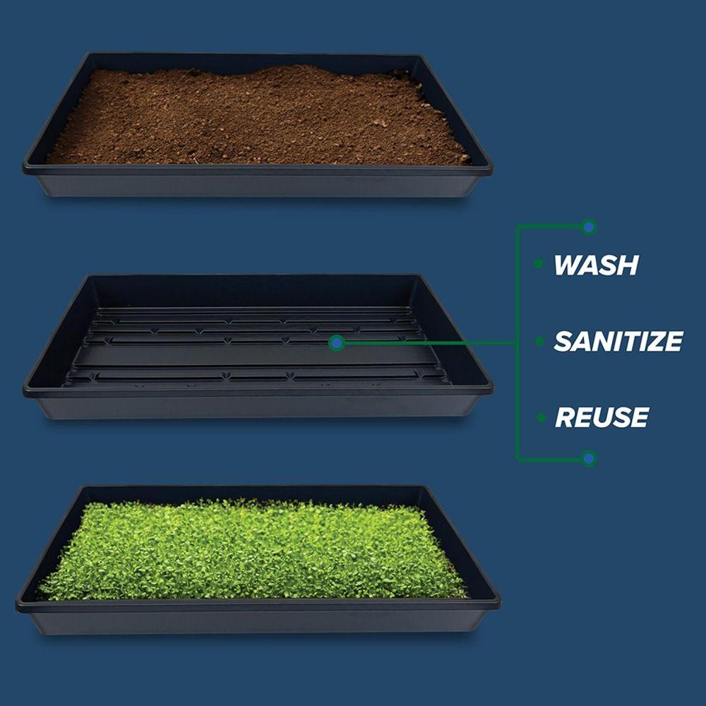 10 Stück Keine Löcher Pflanzanzuchtschalen Wiederverwendbare Bonsai-Blumentopfschale Aussaatanzuchtschale Erde