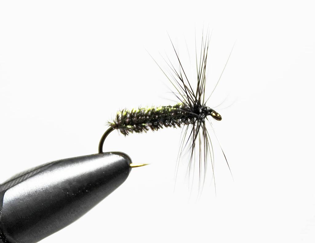 AXISCO Tenkara Regular Fly, 12-Pack/Peacock/#12
