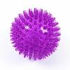 Dog Toys Squeaky Balls for Teeth Cleaning, Durable Molar Toy, Floating Bouncy Interactive Pet Toy for Oral Care
