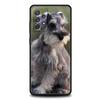 Cartoon Schnauzer Dog Phone Case for Samsung A51 A71 A21S A12 A11 A15 A25 A31 A41 A23 A33 A53 A73 A03S A05S A13 5G A35 A55 Cover