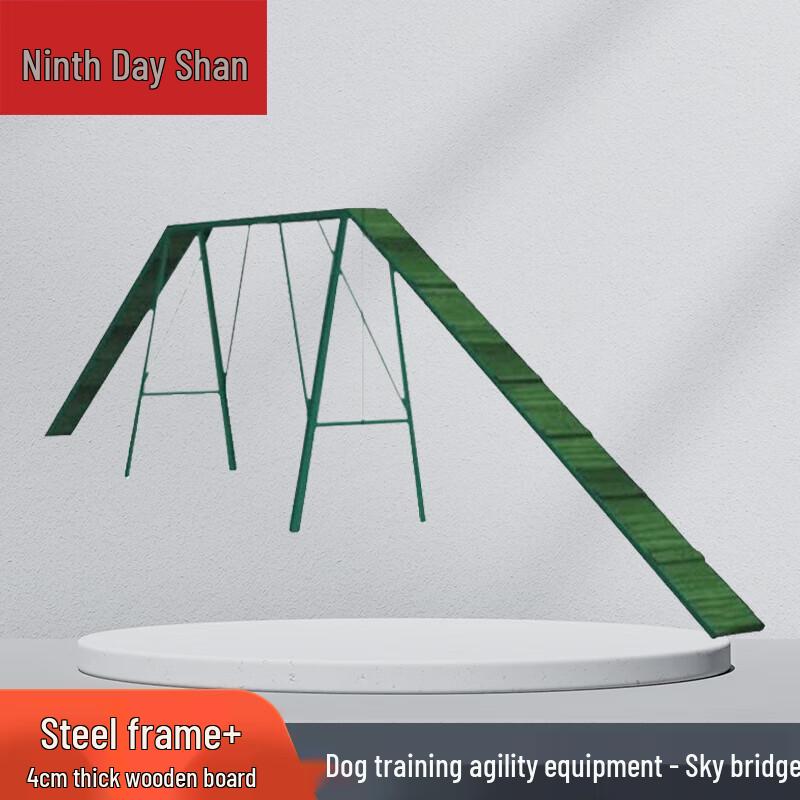 

Dog Agility Training Elevated Plank