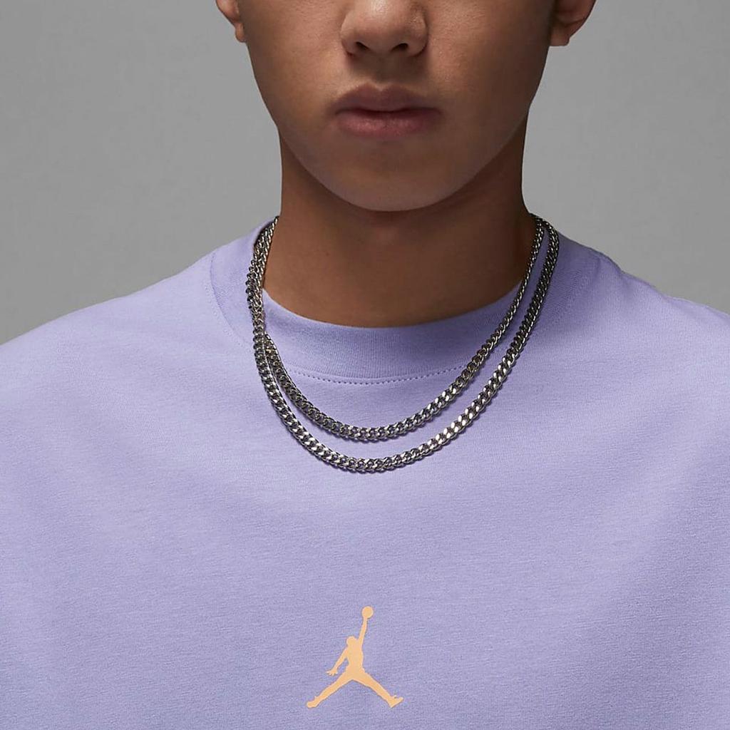 Jordan T Shirt Men's Ice Beauty Lilac FD6555-538