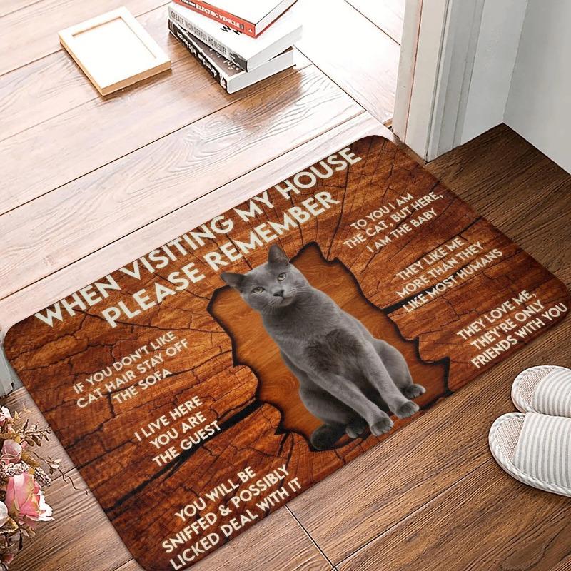 Corgi Themed Funny House Rules Living Room Door Mat Carpet Wood Texture Cute Corgi Pattern Humorous Visitor Notice Home Decor