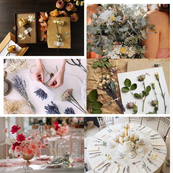 DIY Natural Dried Flower Set Eucalyptus Lavender Wheat Bunny Tails Billy Ball Flower Bouquet with Stems for DIY Crafts Home Wedding Vase Decor