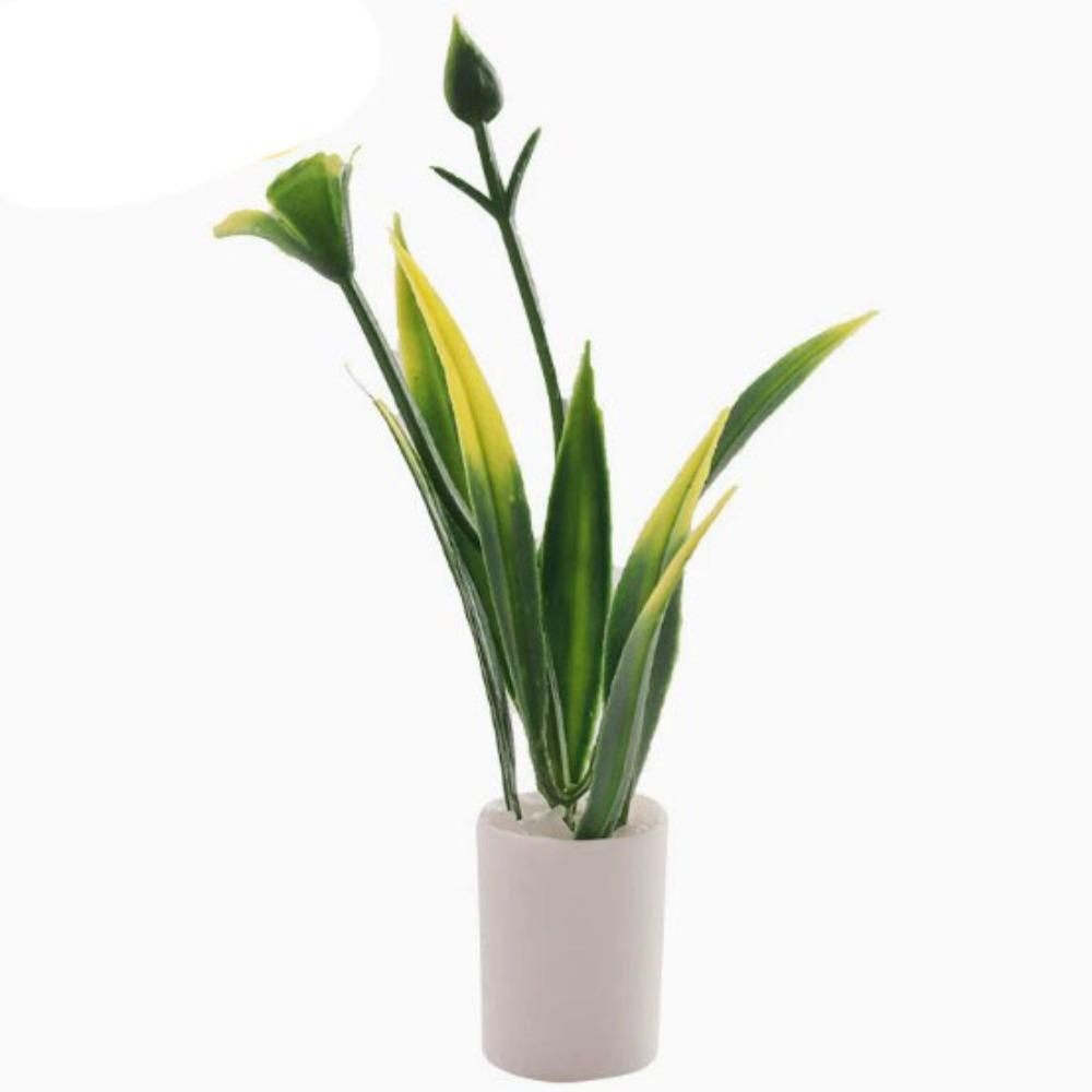 

Мініатюрний ляльковий будиночок Мініатюрна кімнатна рослина Різні стилі Бонсай Сад Модель будинку Аксесуари для лялькового будиночка 5