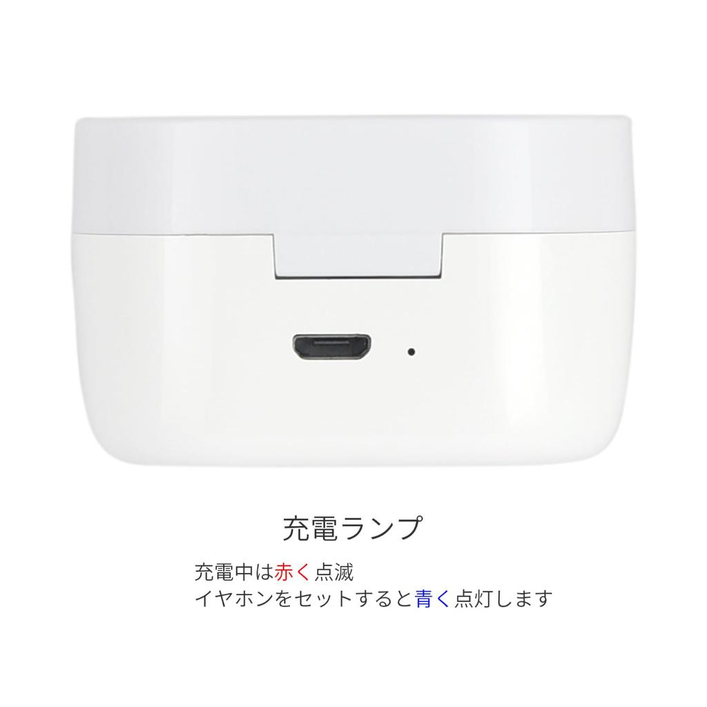 Gourmandise Hanshin Tigers True Wireless Stereo Earphones, Black, HT-07BK