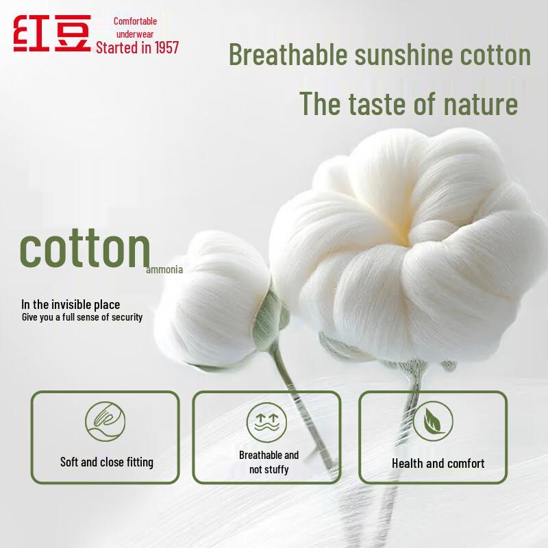 Hongdou Damen 7A Antibakterielle Baumwoll-Slips mit Seiden-Zwickel, 5er-Pack