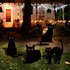 Iron Art Black Cat Yard Signs Black Outdoor Lawn Decoration  for Halloween Decoration