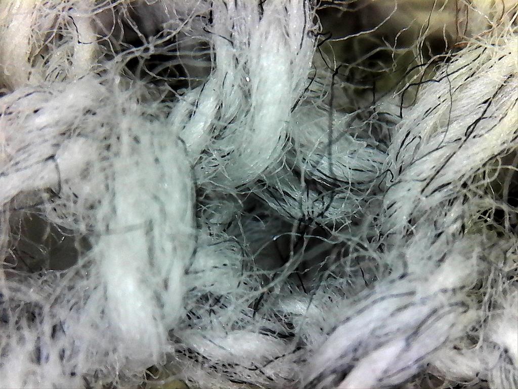 SIGHTRON Japan SIGHTRON USB Microscope, 60x and 250x Magnification, Nano.Capture SP725S