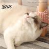 Cleaning Brush Corner Grooming Comb Multifunctional Silicone Rubbing Board Pet Massage Bathing Self Cat Scratcher