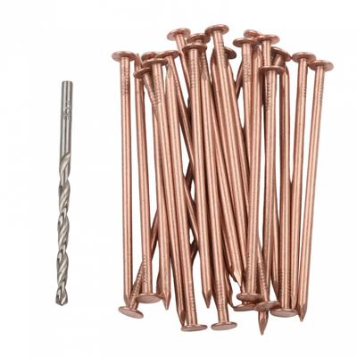 Tree Stump Remover Copper Nails 4 Inch Spikes for Efficient Root Destruction
