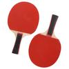 2 Rachete de Tenis de Masă 3 Mingi de Tenis Rachete Profesionale Set cu Geantă