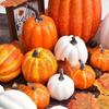 Künstliches Kürbis-Set für Halloween-Dekorationen - 7-teiliges rustikales Herbst-Thanksgiving-Mittelstück und Küche