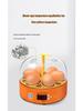 Smart Fully Automatic Small Egg Incubator for Home & Kids