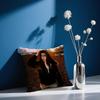 Singer A-Amy W-Winehouse cushion cover Comfortable and soft bedding skin friendly leisure sofa car office pillowcase
