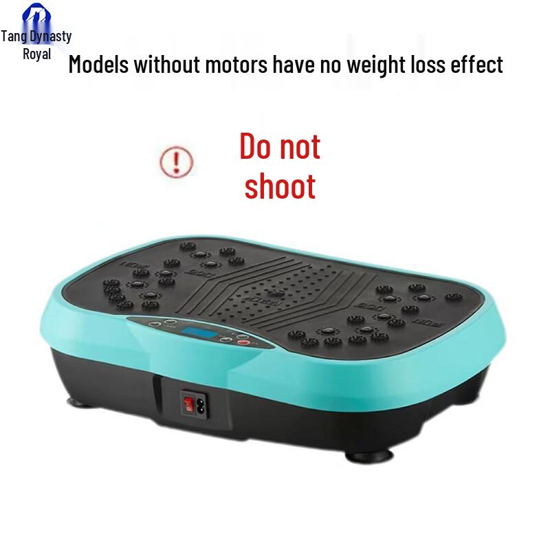 Smart Full-Body Vibration Plate CN plug (adapter included)
