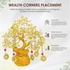 Citrine Crystal Money Tree with Feng Shui Coins – Wealth & Prosperity Tree for Home & Office Décor – Spiritual Gift for Good Luck