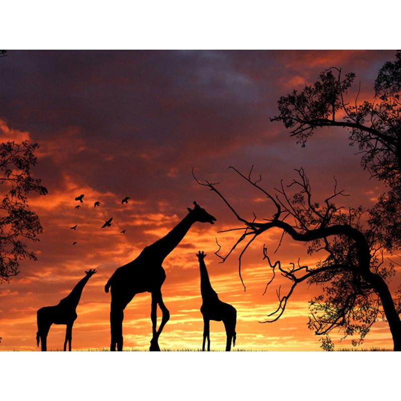 Diamantmaling Løvetann Full Firkant Mosaikkkunst Solnedgang Diamantbroderi Landskap Bilde av Rhinestone Hjemmedekor