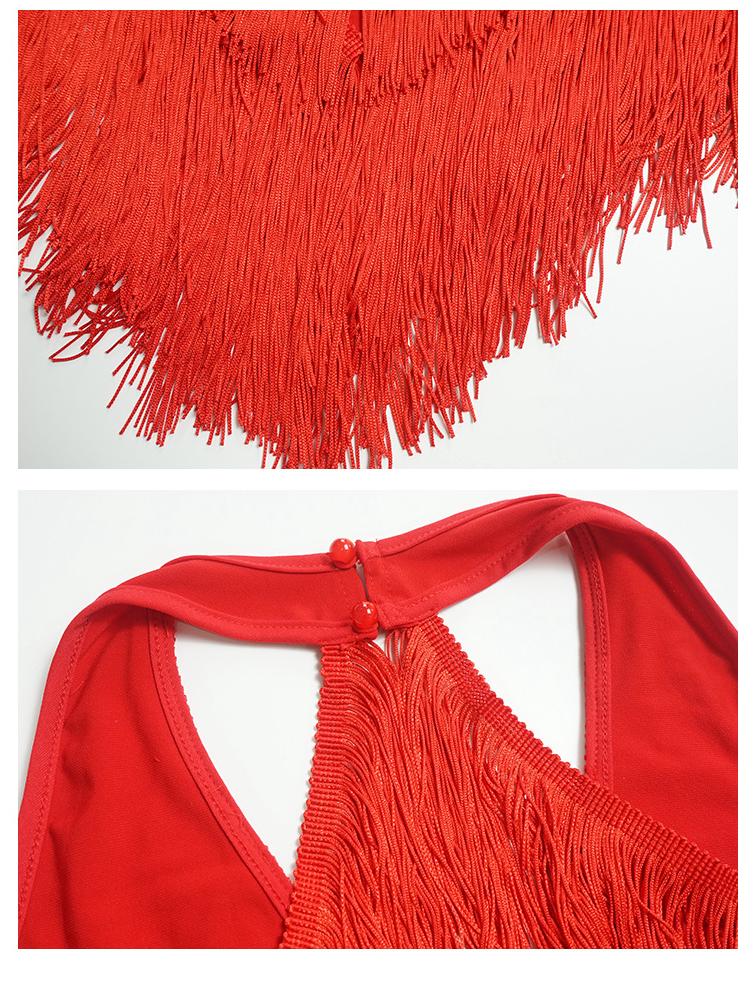 V-Neck Fringe Latin Dance Dress: Sexy Party, Prom, and Performance Costume