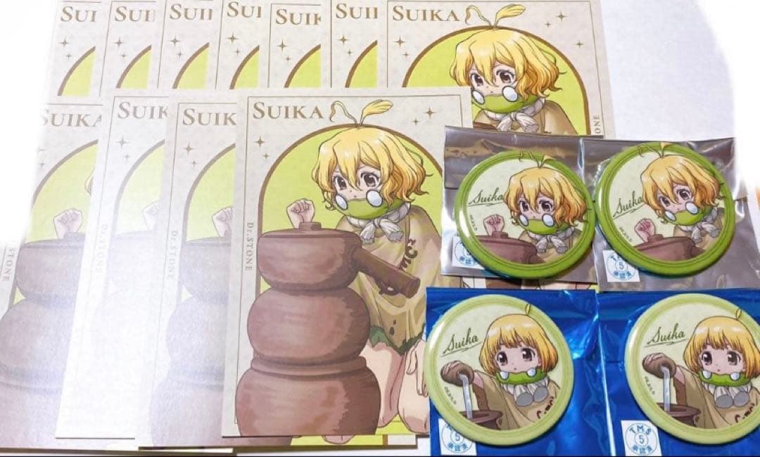 

[USED] Dr. STONE Watermelon Can Badge Bonus Double-Sided Illustration Card