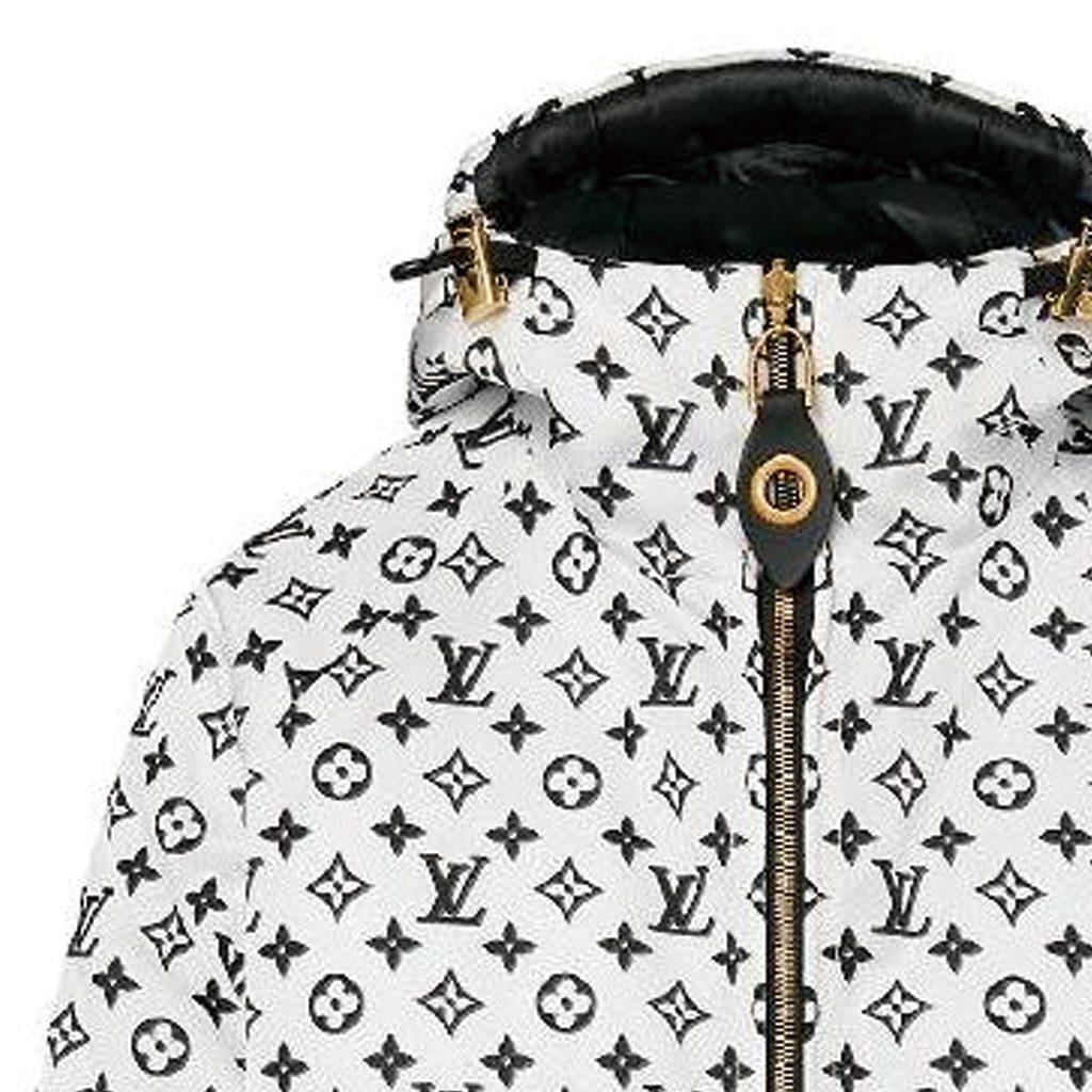 Louis Vuitton Reversible Pinstripe Nylon Hooded Jacket 1ABR9A