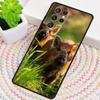 Wild Boar Pig Brown TPU Phone Case For Samsung Galaxy note 10 pro S26 S25 S24 S23 S22 Ultra Plus S21 FE S20 Shockproof Cover