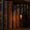 Innen-Akzentbeleuchtung Kreative Bücherregal-Lampe mit warmem Schein für gemütliche Leseecken, Retro Preppy Dunkle Fantasy Wohnkultur Dekorative Laterne