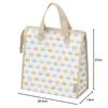 Skater Lunch Bag Non-woven Cold Bag Cat Colorful FBC1
