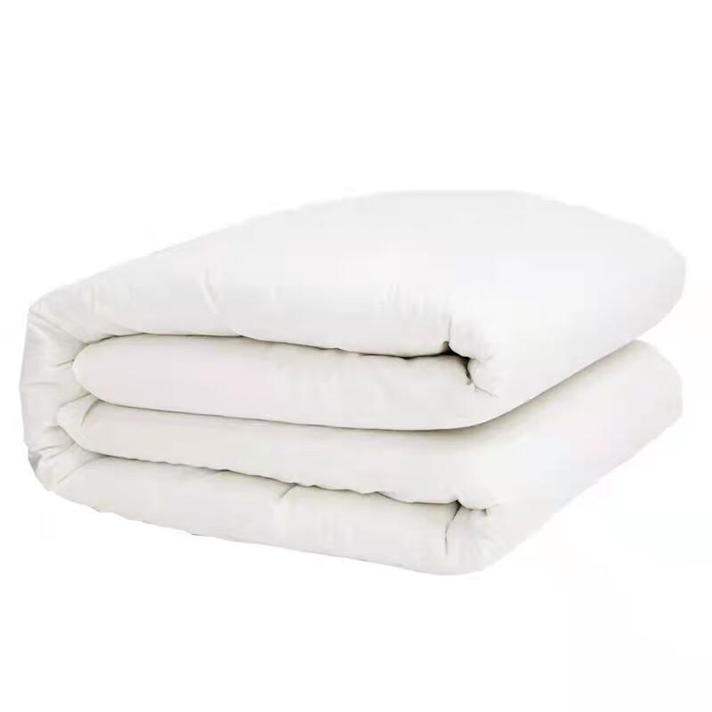 Tianhengyucheng All-Season Single Cotton Quilt