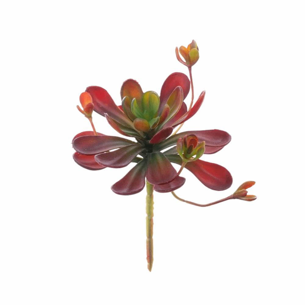 Fleshy Artificial Succulent Plant Lifelike Simulation Bonsai Plant Fake Cactus  Home Office Decor