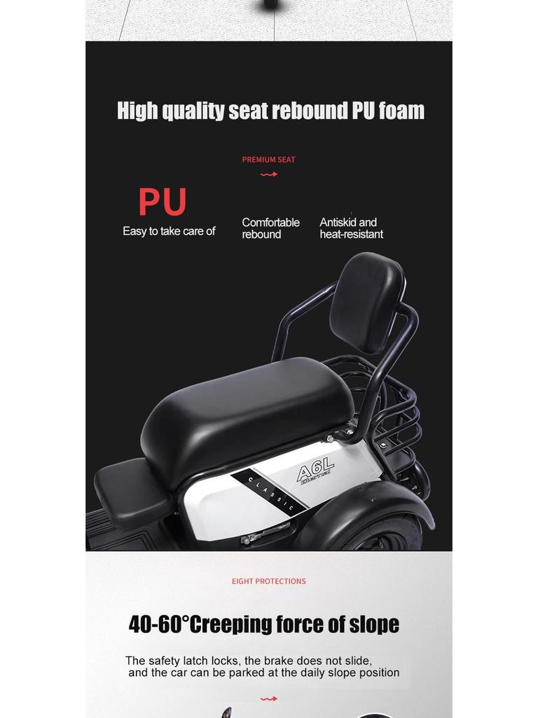 Electric Scooter Tricycle with 120 Km Range and Customizable Battery