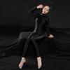 High Elastic Women'S Unitard Long Zipper Open Crotch Satin Shiny Glossy Sheer Full Bodysuit Sexy Shaping Slim Tights Clubwear