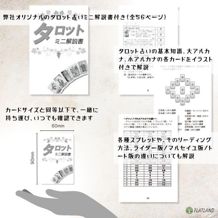 Steinberger Tarot, Tarot Reading Instructions, Japanese Instruction Manual Included, Authentic Tarot, 78 Cards