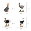 Childrens Bird Animal Model Pvc Realistic Australian Ostrich Baby Figurine For Educational Play And Farm Decor