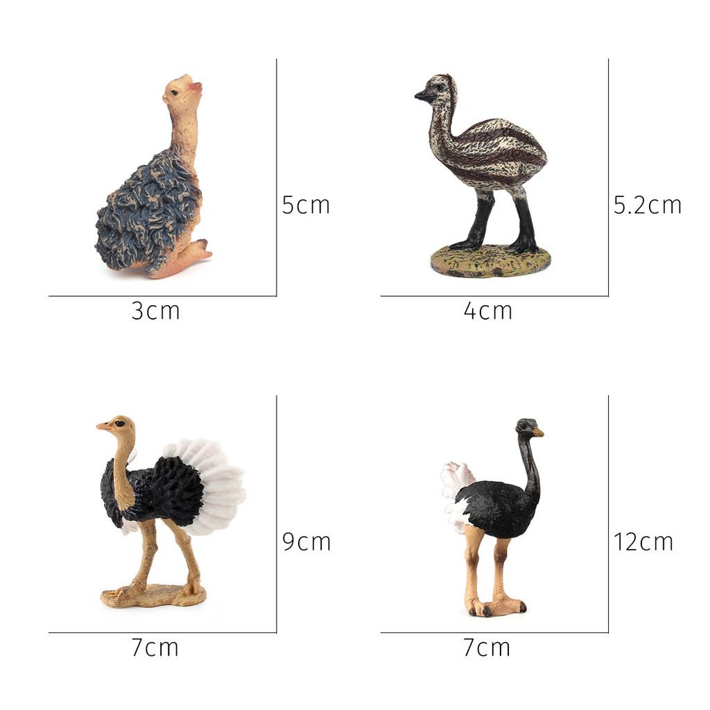 Childrens Bird Animal Model Pvc Realistic Australian Ostrich Baby Figurine For Educational Play And Farm Decor