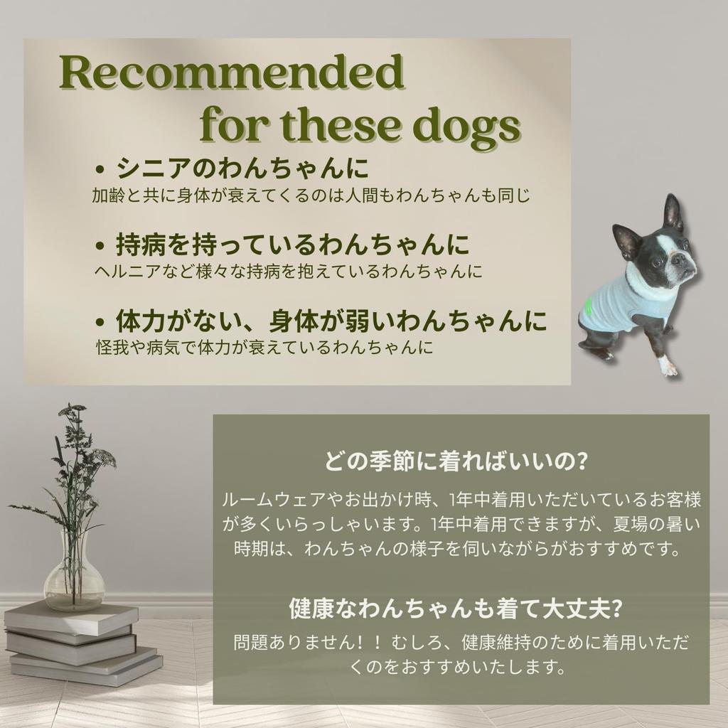 WAG WELL TOKYO x Terahertz One Dog Recovery Tank Top, Organic Cotton, Gray, Medium, Cool