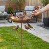 Rustproof Metal Freestanding Birdbath 5 Claw Ground Plug Bird Feeding Station  Lawn Backyard