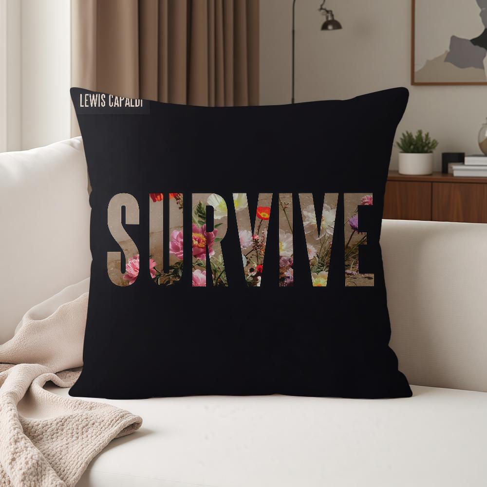 Singer Llewis Capaldi All The Rest EP Pillow Case Suitable For Bedrooms Living Rooms Cars Home Decoration