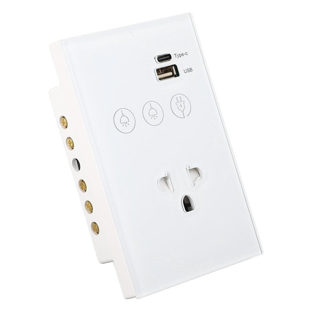 Smart Wall Outlet 2.4G WiFi Touch Light Voice Remote Control Smart Plug with USB and Type C Port for