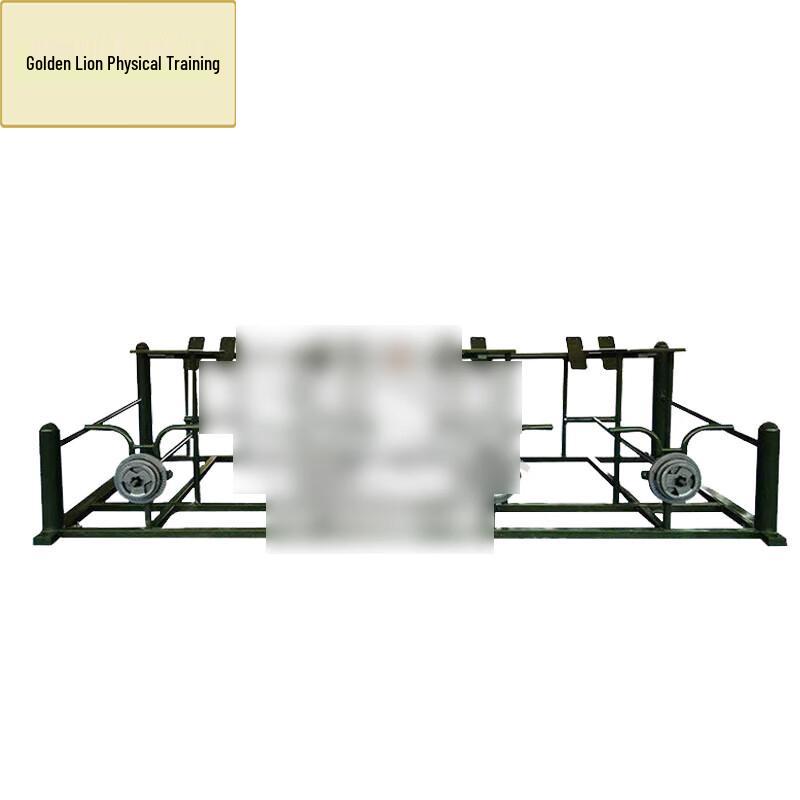 Golden Lion Outdoor Multifunctional Fitness Training Station